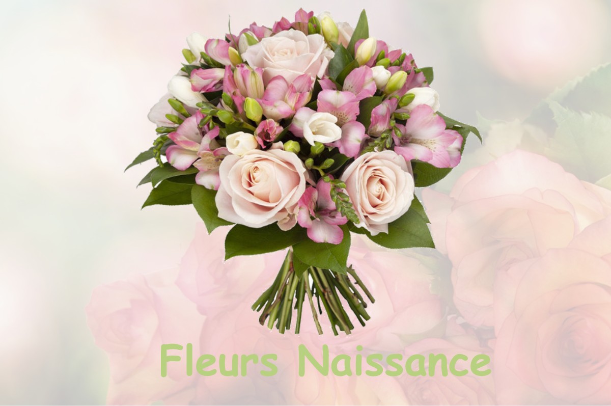 fleurs naissance ARCON